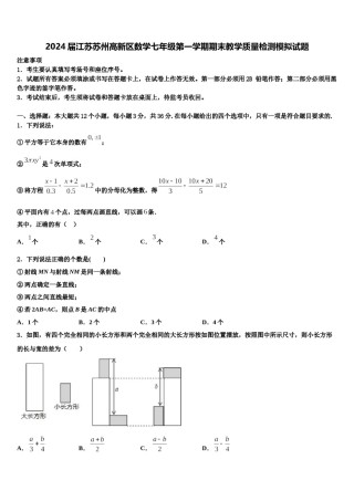 2024届江苏苏州高新区数学七年级第一学期期末教学质量检测模拟试题含解析.doc