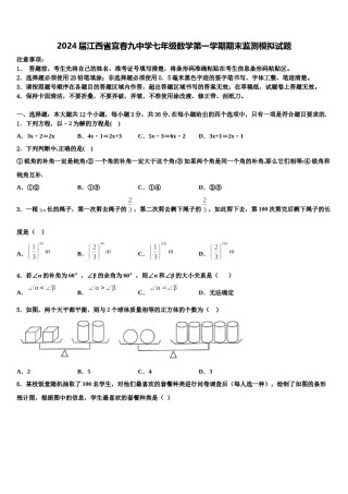 2024届江西省宜春九中学七年级数学第一学期期末监测模拟试题含解析.doc