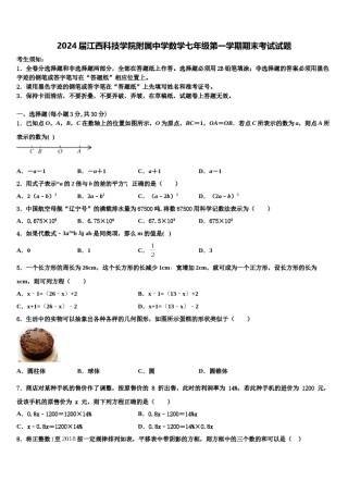 2024届江西科技学院附属中学数学七年级第一学期期末考试试题含解析.doc