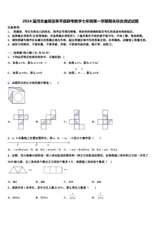 2024届河北省保定阜平县联考数学七年级第一学期期末综合测试试题含解析.doc