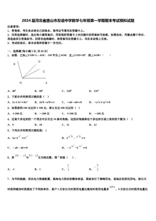 2024届河北省唐山市友谊中学数学七年级第一学期期末考试模拟试题含解析.doc