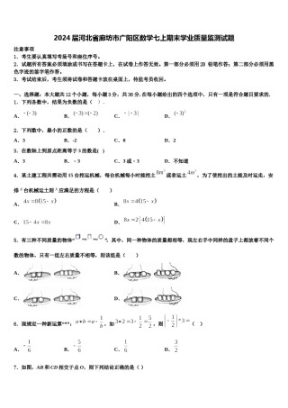 2024届河北省廊坊市广阳区数学七上期末学业质量监测试题含解析.doc