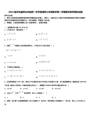 2024届河北省邢台市临西一中学普通班七年级数学第一学期期末联考模拟试题含解析.doc