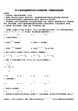 2024届河北省邯郸市永区七年级数学第一学期期末监测试题含解析.doc