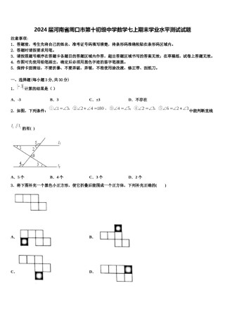 2024届河南省周口市第十初级中学数学七上期末学业水平测试试题含解析.doc