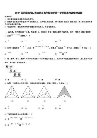 2024届河南省周口市鹿邑县七年级数学第一学期期末考试模拟试题含解析.doc