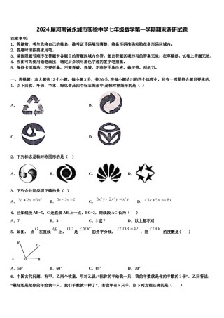 2024届河南省永城市实验中学七年级数学第一学期期末调研试题含解析.doc