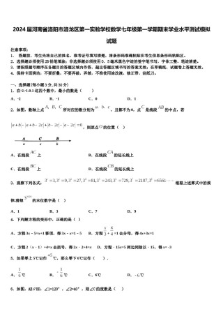 2024届河南省洛阳市洛龙区第一实验学校数学七年级第一学期期末学业水平测试模拟试题含解析.doc