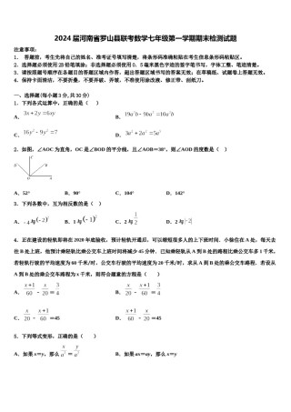 2024届河南省罗山县联考数学七年级第一学期期末检测试题含解析.doc