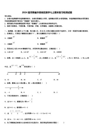2024届河南省许昌地区数学七上期末复习检测试题含解析.doc