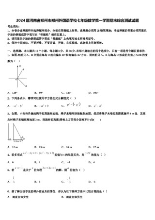 2024届河南省郑州市郑州外国语学校七年级数学第一学期期末综合测试试题含解析.doc