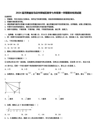 2024届河南省驻马店市驿城区数学七年级第一学期期末检测试题含解析.doc