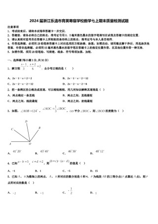 2024届浙江乐清市育英寄宿学校数学七上期末质量检测试题含解析.doc