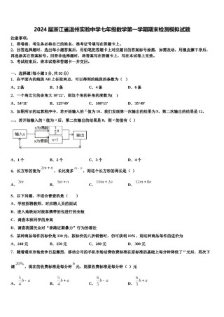 2024届浙江省温州实验中学七年级数学第一学期期末检测模拟试题含解析.doc