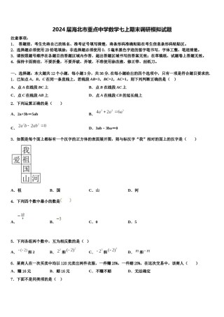 2024届海北市重点中学数学七上期末调研模拟试题含解析.doc
