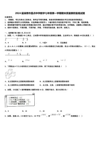 2024届淄博市重点中学数学七年级第一学期期末质量跟踪监视试题含解析.doc