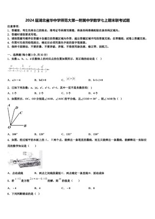 2024届湖北省华中学师范大第一附属中学数学七上期末联考试题含解析.doc