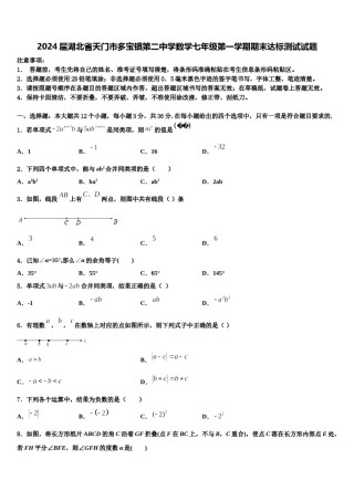 2024届湖北省天门市多宝镇第二中学数学七年级第一学期期末达标测试试题含解析.doc