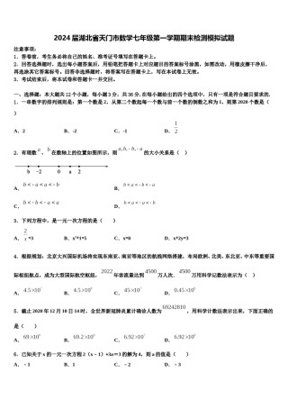2024届湖北省天门市数学七年级第一学期期末检测模拟试题含解析.doc