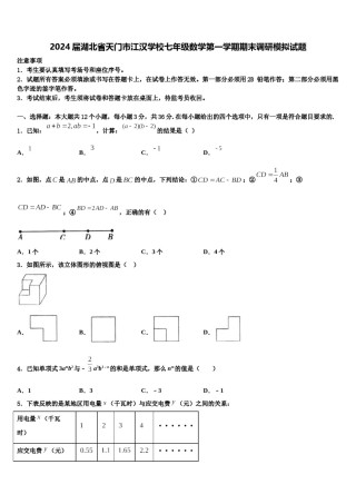 2024届湖北省天门市江汉学校七年级数学第一学期期末调研模拟试题含解析.doc