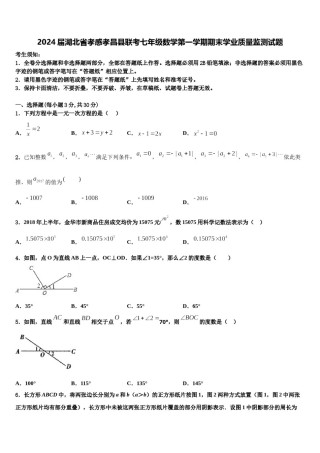 2024届湖北省孝感孝昌县联考七年级数学第一学期期末学业质量监测试题含解析.doc