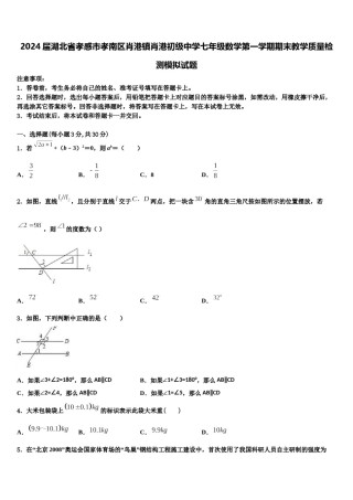 2024届湖北省孝感市孝南区肖港镇肖港初级中学七年级数学第一学期期末教学质量检测模拟试题含解析.doc