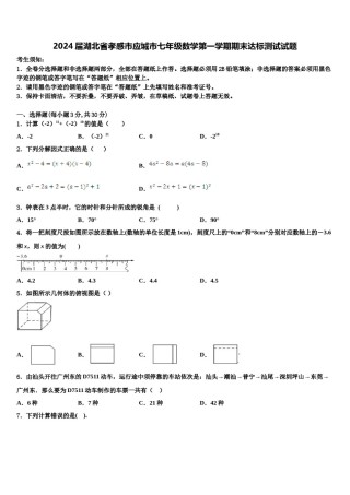 2024届湖北省孝感市应城市七年级数学第一学期期末达标测试试题含解析.doc