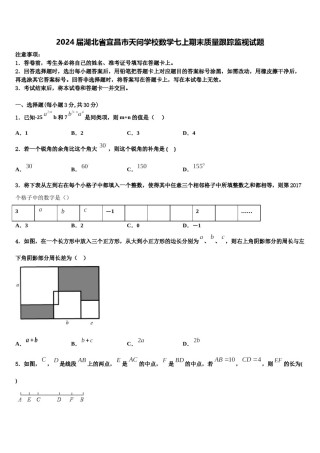 2024届湖北省宜昌市天问学校数学七上期末质量跟踪监视试题含解析.doc