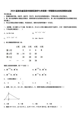 2024届湖北省宜昌市高新区数学七年级第一学期期末达标检测模拟试题含解析.doc
