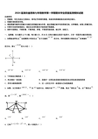 2024届湖北省恩施七年级数学第一学期期末学业质量监测模拟试题含解析.doc