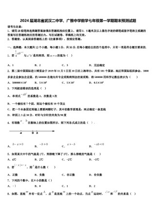 2024届湖北省武汉二中学、广雅中学数学七年级第一学期期末预测试题含解析.doc