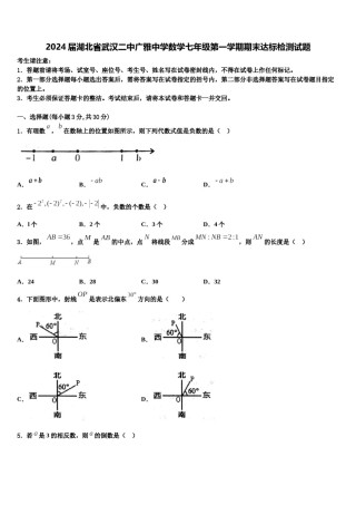 2024届湖北省武汉二中广雅中学数学七年级第一学期期末达标检测试题含解析.doc
