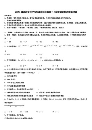 2024届湖北省武汉市东湖高新区数学七上期末复习检测模拟试题含解析.doc