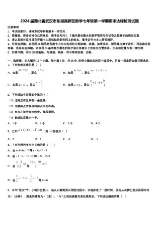 2024届湖北省武汉市东湖高新区数学七年级第一学期期末达标检测试题含解析.doc