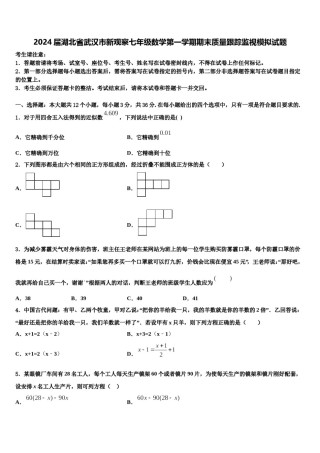 2024届湖北省武汉市新观察七年级数学第一学期期末质量跟踪监视模拟试题含解析.doc