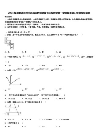 2024届湖北省武汉市武昌区拼搏联盟七年级数学第一学期期末复习检测模拟试题含解析.doc