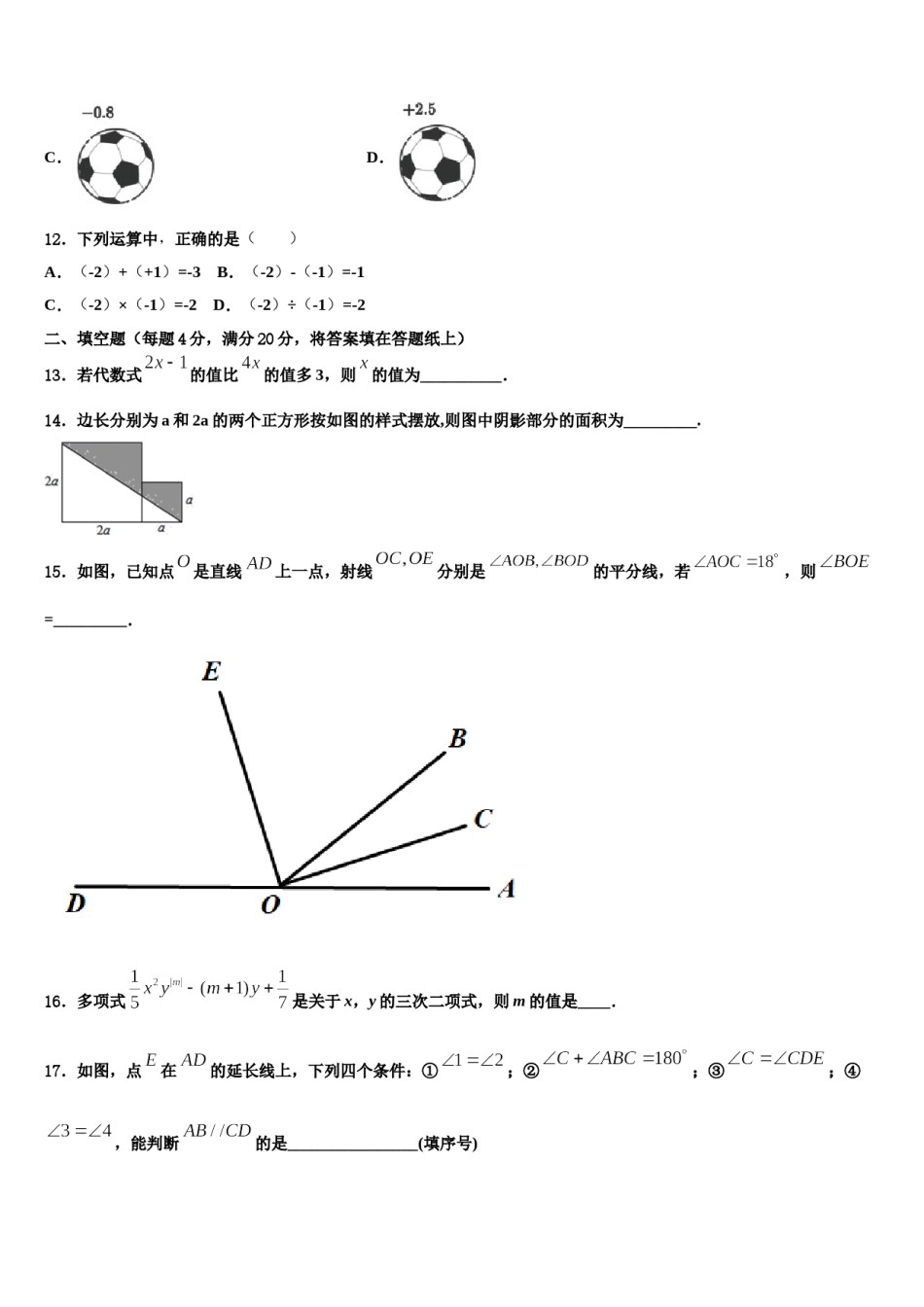 2024届湖北省武汉市武昌区省水二中学数学七上期末复习检测试题含解析.doc_第3页