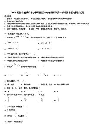 2024届湖北省武汉市求新联盟联考七年级数学第一学期期末联考模拟试题含解析.doc