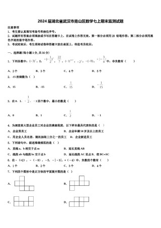 2024届湖北省武汉市青山区数学七上期末监测试题含解析.doc