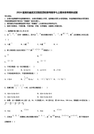 2024届湖北省武汉汉阳区四校联考数学七上期末统考模拟试题含解析.doc