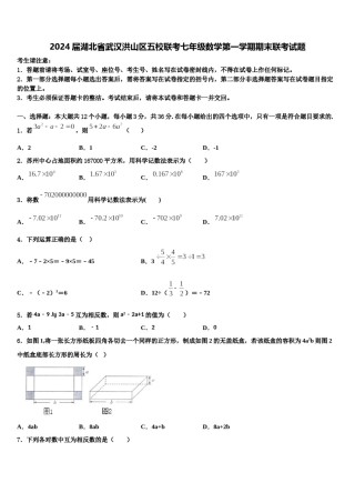 2024届湖北省武汉洪山区五校联考七年级数学第一学期期末联考试题含解析.doc