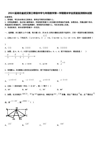 2024届湖北省武汉第三寄宿中学七年级数学第一学期期末学业质量监测模拟试题含解析.doc