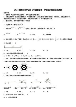 2024届湖北省罗田县七年级数学第一学期期末质量检测试题含解析.doc