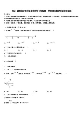 2024届湖北省荆州松滋市数学七年级第一学期期末教学质量检测试题含解析.doc