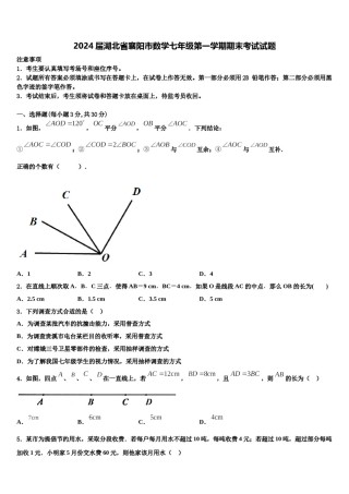 2024届湖北省襄阳市数学七年级第一学期期末考试试题含解析.doc