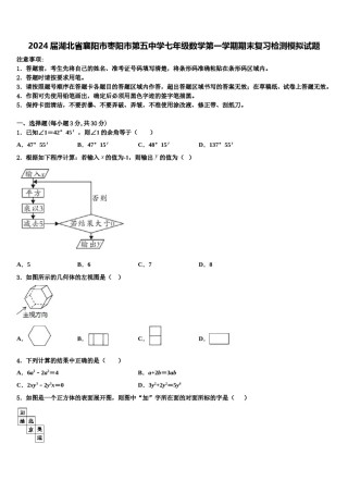 2024届湖北省襄阳市枣阳市第五中学七年级数学第一学期期末复习检测模拟试题含解析.doc