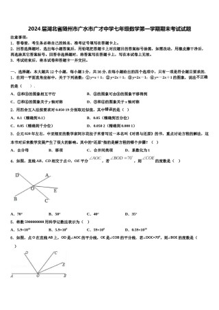 2024届湖北省随州市广水市广才中学七年级数学第一学期期末考试试题含解析.doc