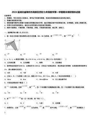 2024届湖北省随州市高新区四校七年级数学第一学期期末调研模拟试题含解析.doc