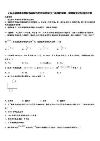 2024届湖北省黄冈市麻城市思源实验学校七年级数学第一学期期末达标检测试题含解析.doc