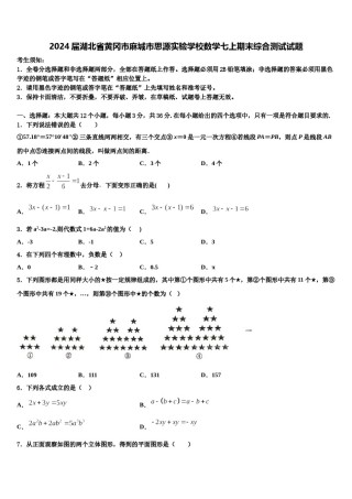 2024届湖北省黄冈市麻城市思源实验学校数学七上期末综合测试试题含解析.doc